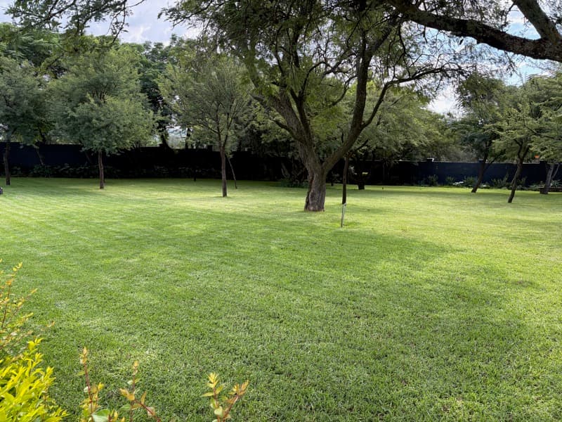 Garden view